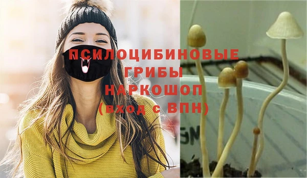 a pvp Кулебаки