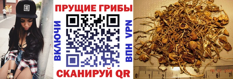 Галлюциногенные грибы MAGIC MUSHROOMS Севск